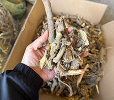 甘草粉碎机多少钱一台