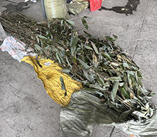 湿竹子粉碎机多少钱一台