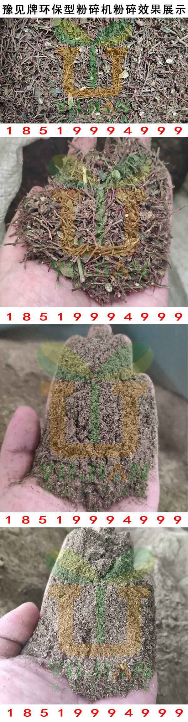 花椒杆粉碎效果展示