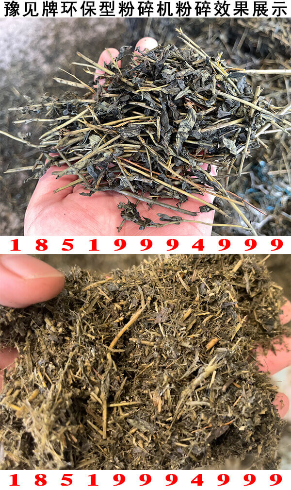 豫见牌环保型黄芩粉碎机粉碎效果展示